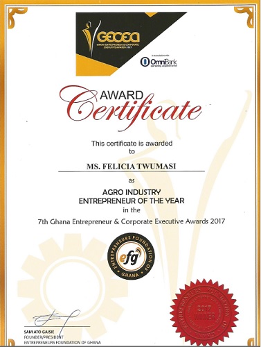 entrepreneur certificate barca fontanacountryinn com entrepreneur certificate