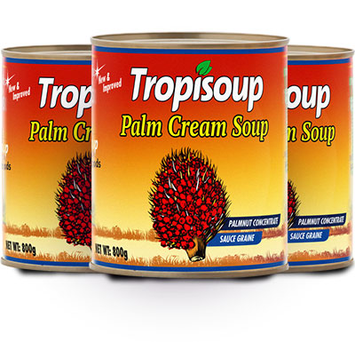  “Tropisoup” Palm Cream Soup